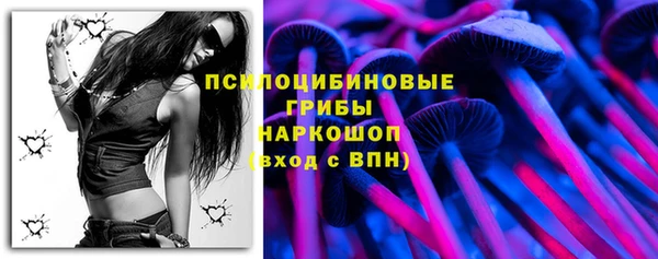 стаф Алзамай