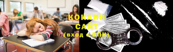 стаф Алзамай