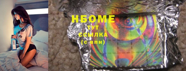 стаф Алзамай