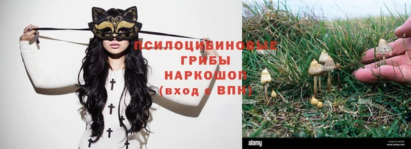 мдпв Новозыбков