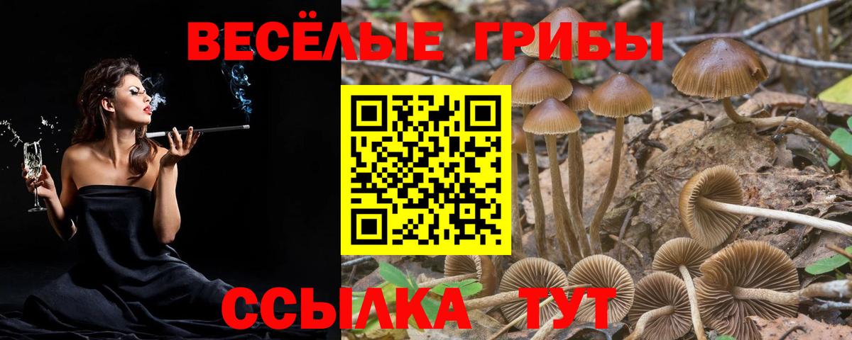 Галлюциногенные грибы прущие грибы Копейск